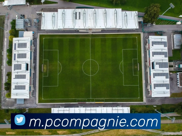 奖项证书